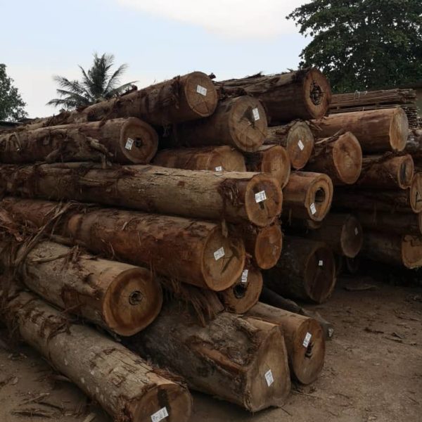 timber-log